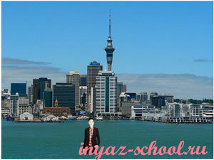 Образование в Новой Зеландии